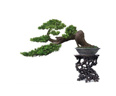 区域农产品
